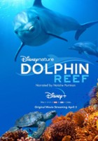plakat filmu Rafa delfinów
