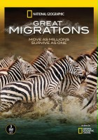 plakat filmu Wielkie migracje