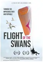 plakat filmu Flight of the Swans