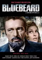 plakat filmu Sinobrody