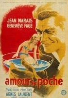 plakat filmu Un amour de poche