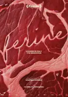 Massimo Vavassori / Ferine