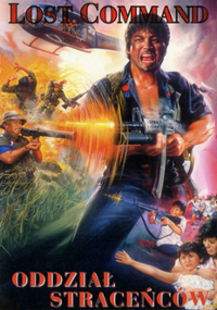 Plakat filmu Lost Command