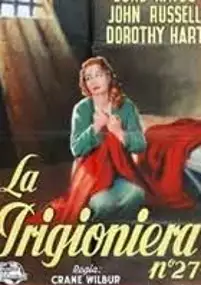 Plakat filmu The Story of Molly X
