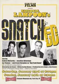 Plakat filmu Snatched