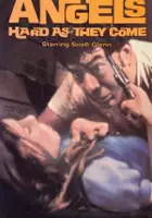 Mike Shack / Angels Hard as They Come