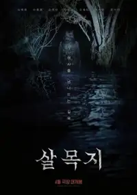 Plakat filmu Salmokji