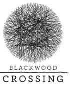 plakat gry Blackwood Crossing