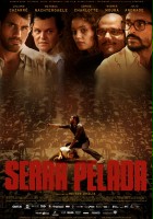 plakat filmu Serra Pelada