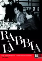 plakat filmu Wściekłość