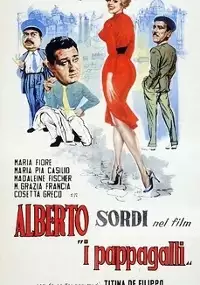 Plakat filmu I pappagalli