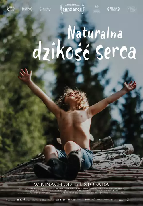 plakat filmu Naturalna dzikość serca