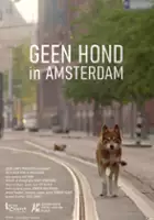 Lucas Camps / Geen Hond in Amsterdam