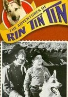 plakat - Przygody Rin Tin Tina (1954)