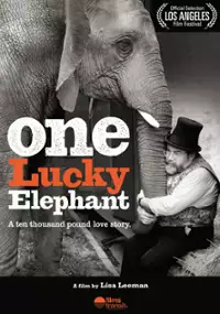 Plakat filmu One Lucky Elephant