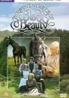plakat - Czarny Królewicz (1972)