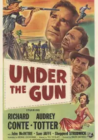 Plakat filmu Under the Gun