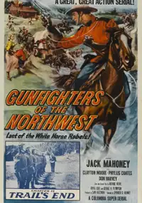 Plakat filmu Gunfighters of the Northwest