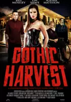 plakat filmu Gothic Harvest