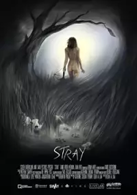 Plakat filmu Stray