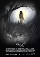 David Breen / Stray