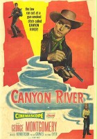 plakat filmu Canyon River