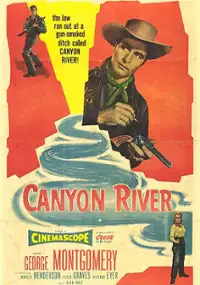 Plakat filmu Canyon River