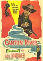 plakat filmu Canyon River