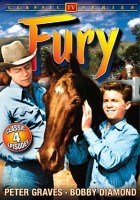 plakat filmu Fury