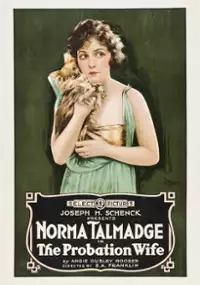 Plakat filmu The Probation Wife