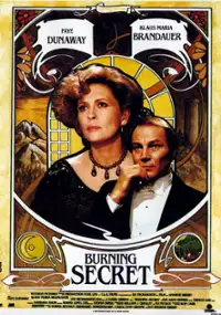 Plakat filmu Burning Secret