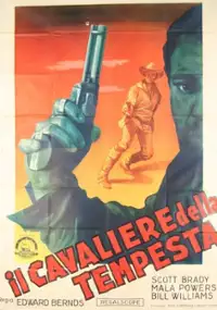 Plakat filmu The Storm Rider