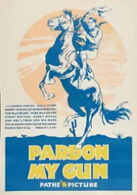 Plakat filmu Pardon My Gun