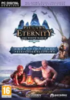 plakat gry Pillars of Eternity: The White March