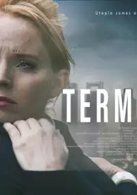 Plakat filmu Terminal