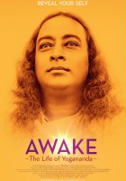 plakat filmu Awake: The Life of Yogananda
