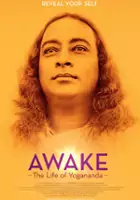plakat filmu Awake: The Life of Yogananda