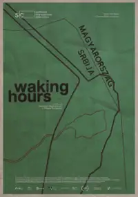 Plakat filmu Ore di veglia