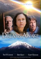 plakat filmu Dreams Awake