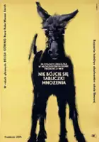 Magdalena Nowakowska / Nie bójcie się tabliczki mnożenia