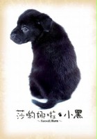 plakat filmu Sayônara Kuro