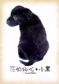 Plakat filmu Sayônara Kuro