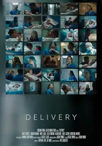 Plakat filmu Delivery