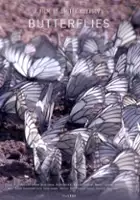 Maxim Pakhomov / Babochki