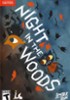 Night in the Woods