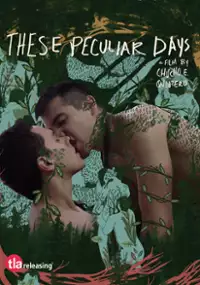 Plakat filmu Los días particulares