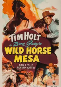 Plakat filmu Wild Horse Mesa