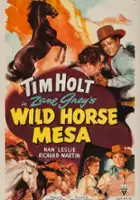 plakat filmu Wild Horse Mesa