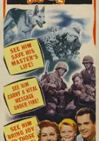 plakat filmu Sergeant Mike