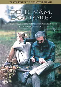 Plakat filmu Co je vám, doktore?